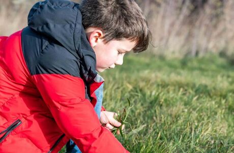 Lime Tree Farm Web Versions (175)