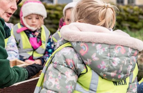 Web Version Corn Close 104