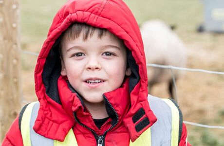 Web Version Corn Close 120