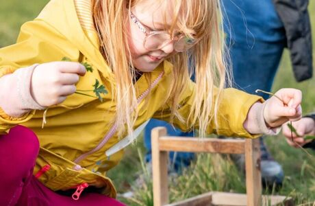 Lime Tree Farm Web Versions 2