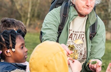 Lime Tree Farm Web Versions 6