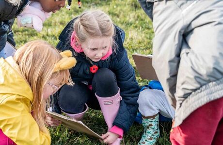 Lime Tree Farm Web Versions 17