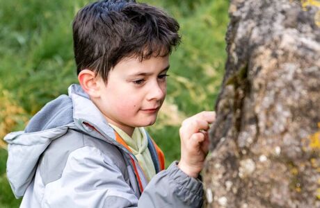 Lime Tree Farm Web Versions 40