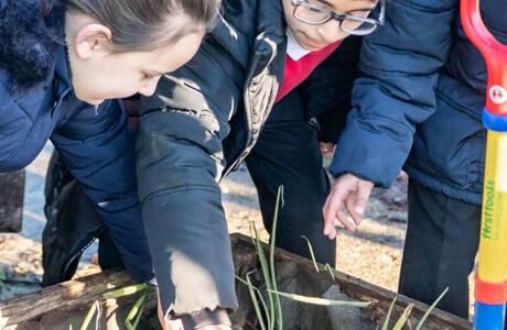 Lapage Primary (161)