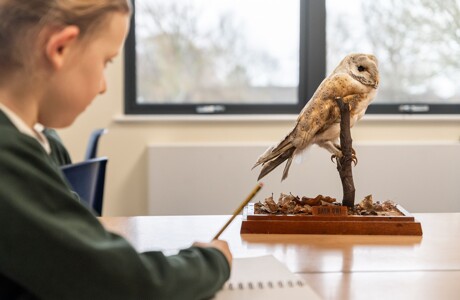 Willow Tree Art (129)