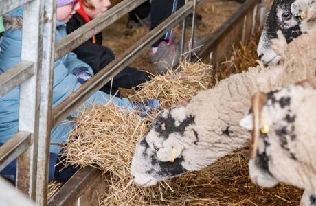 Jamies Farm (18)