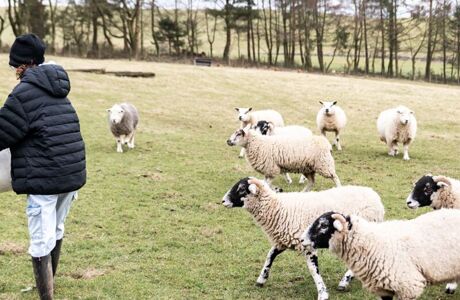 Jamies Farm (78)