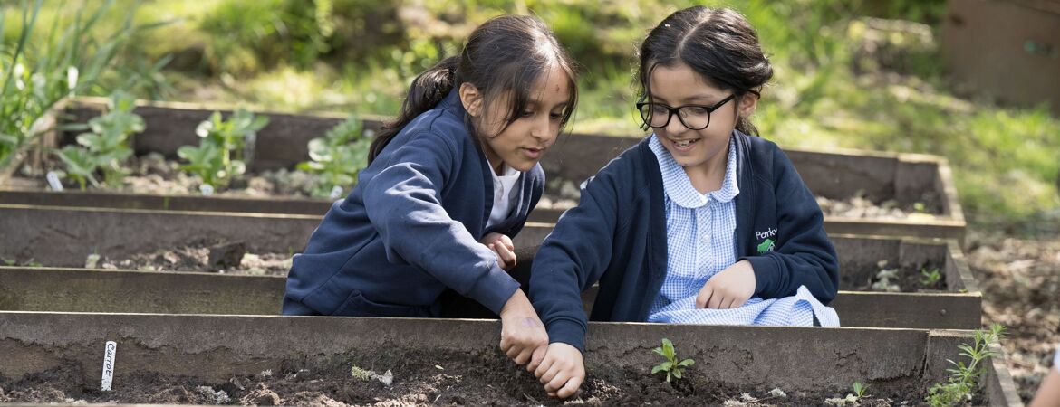 What's Next for NSAT: Future Forward Strategy