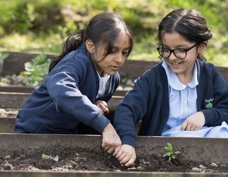 What's Next for NSAT: Future Forward Strategy