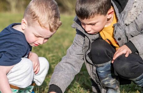 Lime Tree Farm Web Versions (12)