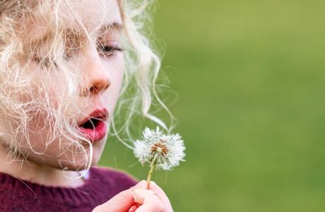 Lime Tree Farm Web Versions (134)